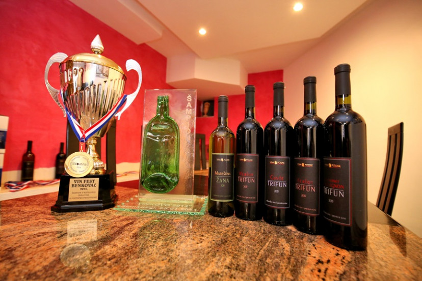 Vina Poljak