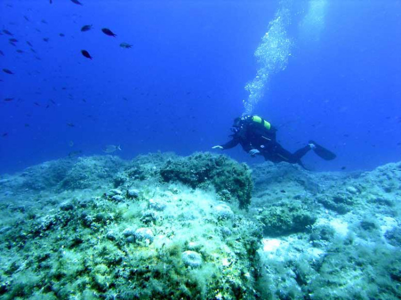 Zadar Sub