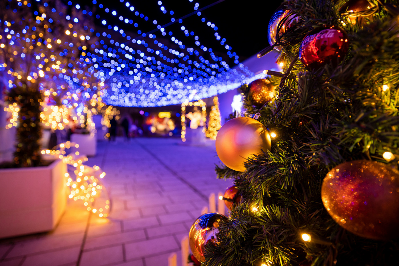 Christmas Fairytale in Cedulin Palace