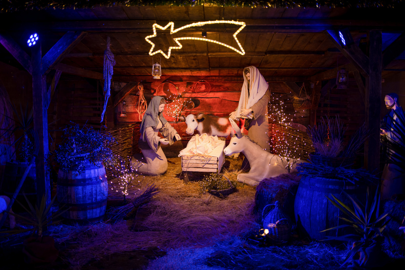 Christmas Fairytale in Cedulin Palace