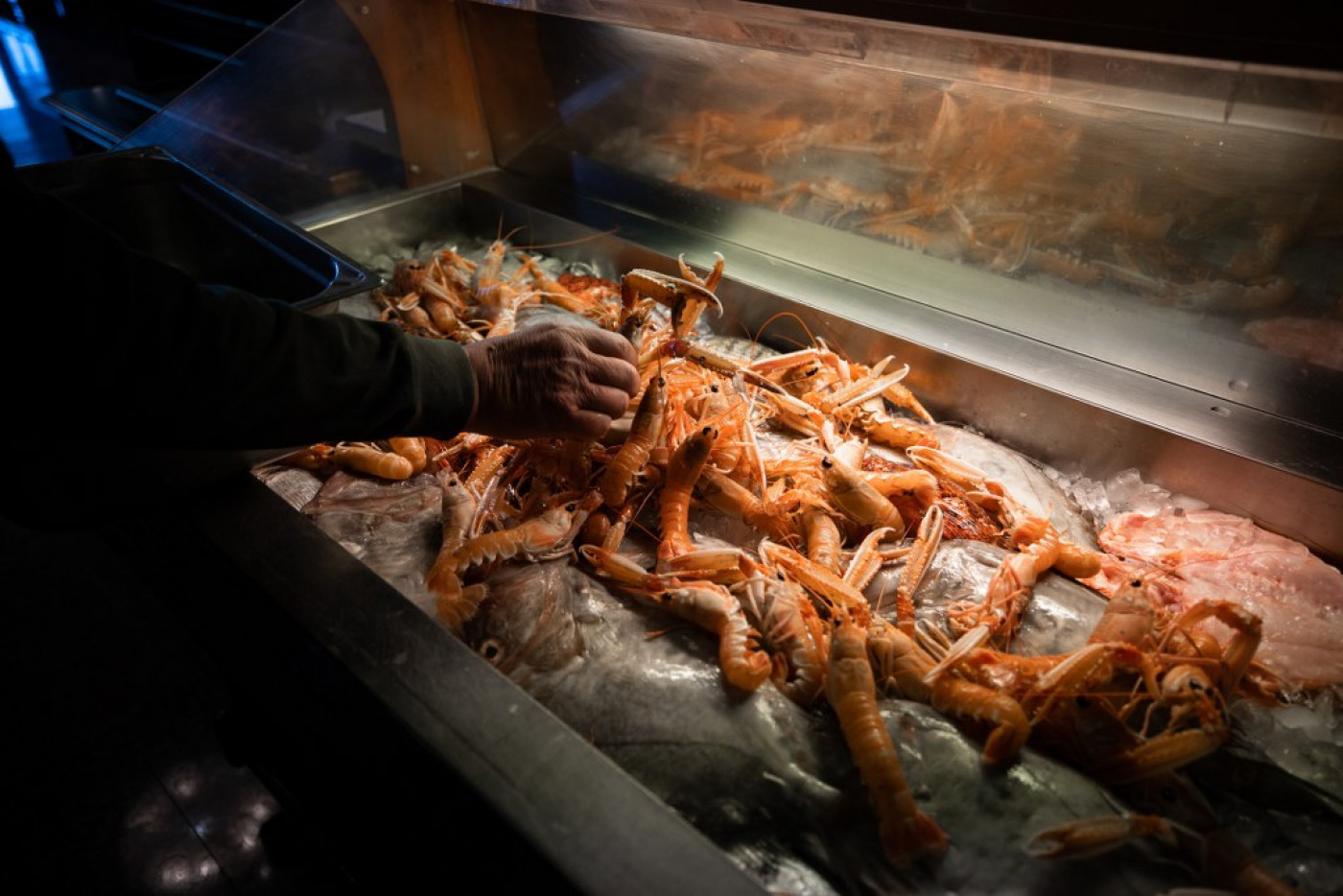 Royal Scampi Buzara at Niko Restaurant, a Zadar Culinary Institution