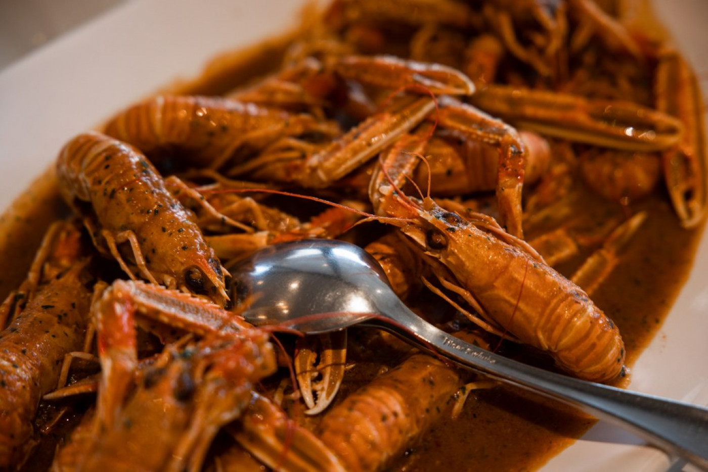 Royal Scampi Buzara at Niko Restaurant, a Zadar Culinary Institution