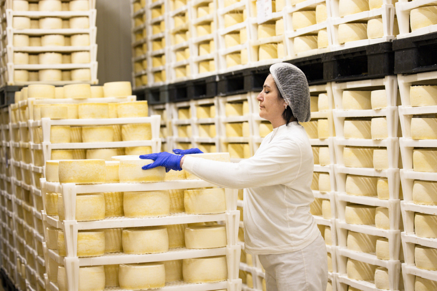 Pag Cheese has won over World Gourmets and you can best find it in Zadar