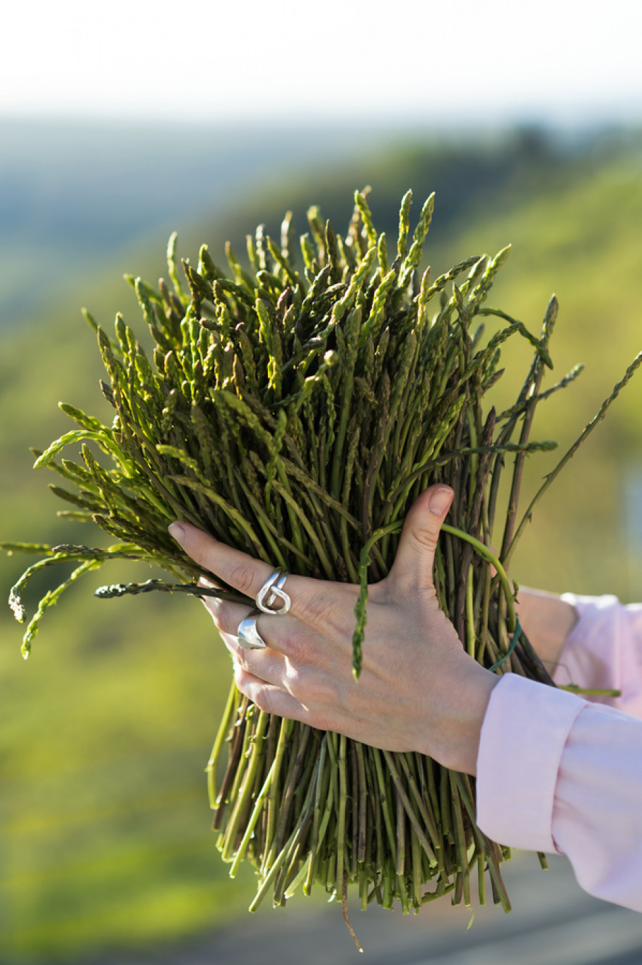 Zadar Region Wild Plants: Asparagus Prepared by Chef Jakov Me&scaron;trović