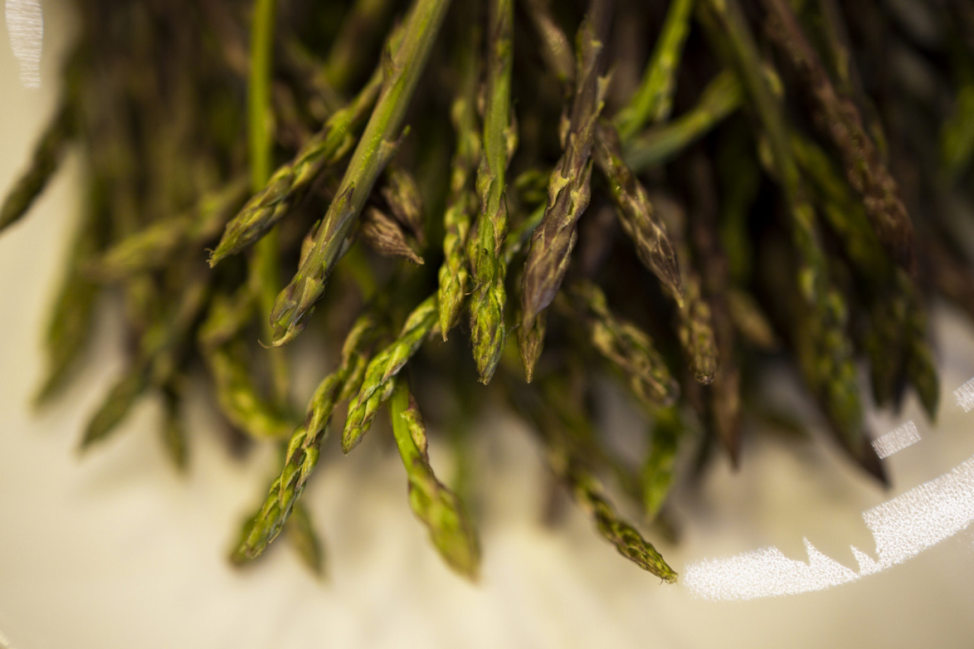 Zadar Region Wild Plants: Asparagus Prepared by Chef Jakov Me&scaron;trović