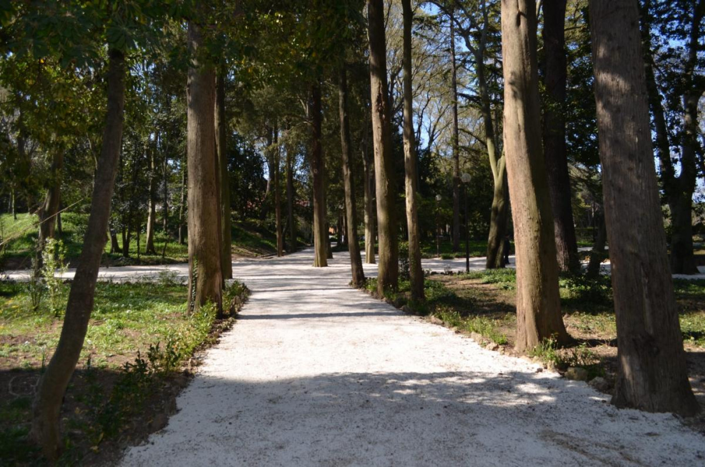 The Turbulent Past of Zadar's Green Island, Part 2