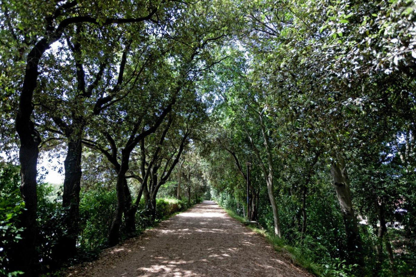 The Turbulent Past of Zadar's Green Island, Part 2