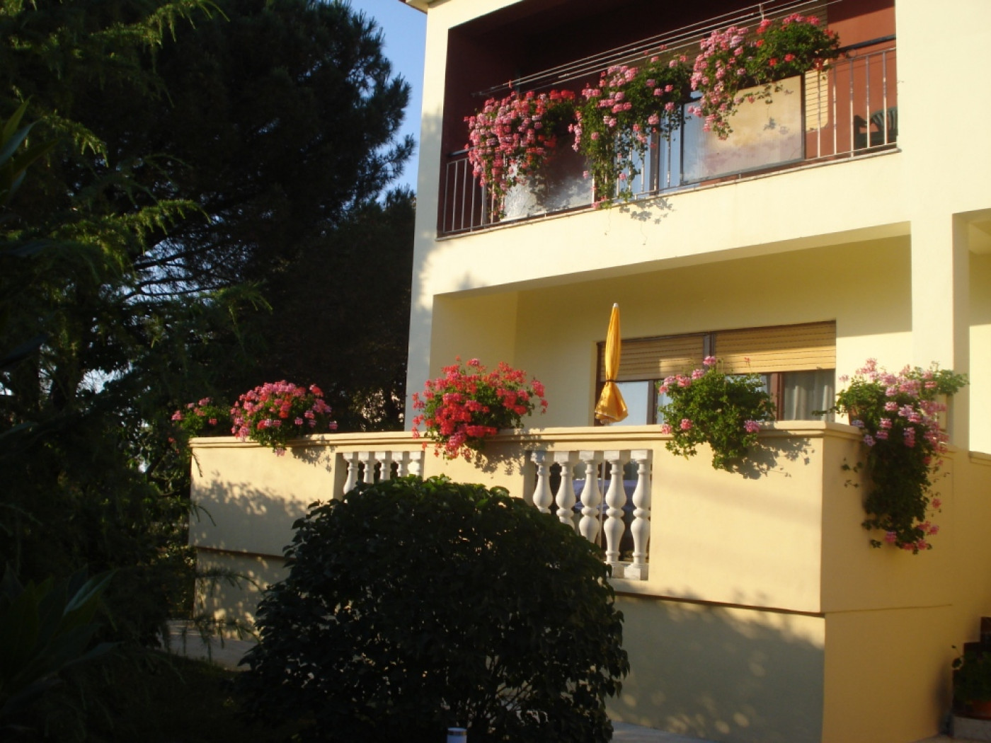 Apartment Xenia