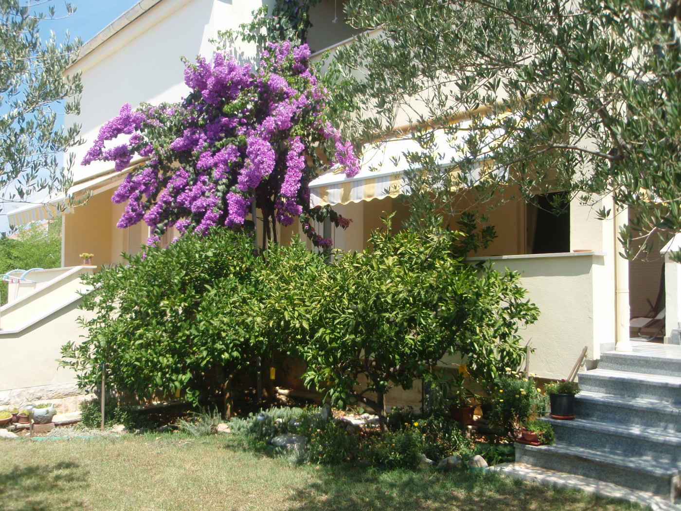 Apartment Andreja
