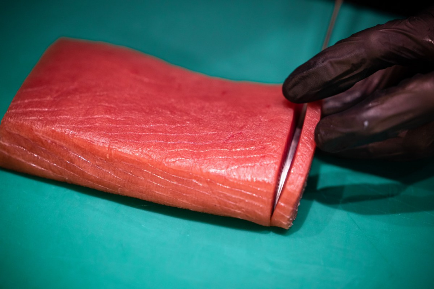 Zadar - the City Where Bluefin Tuna is the Most Delicious in the World