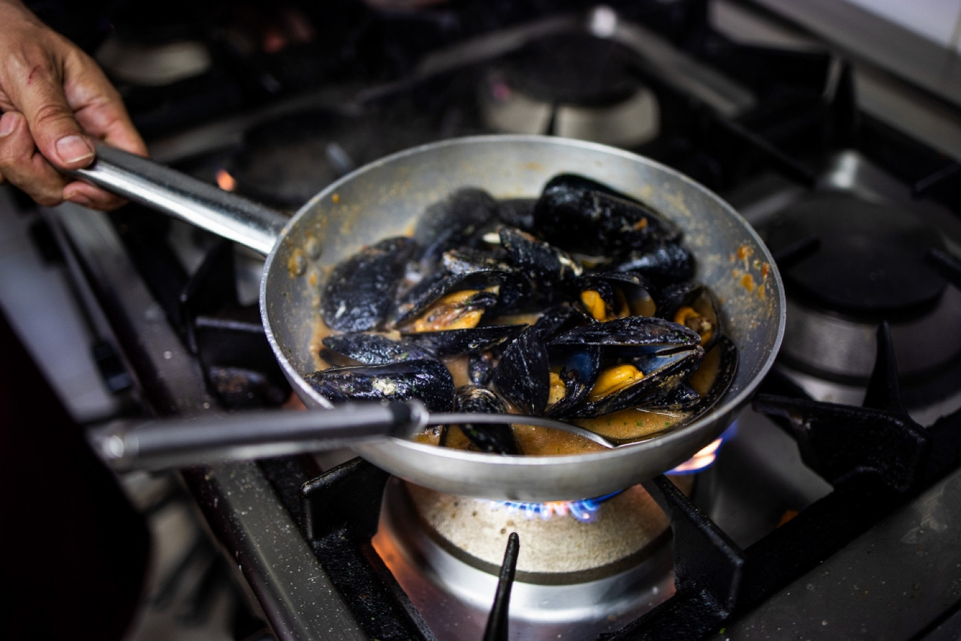 Buzara Made of Novigrad Mussels - a Top Delicacy Available to Everyone