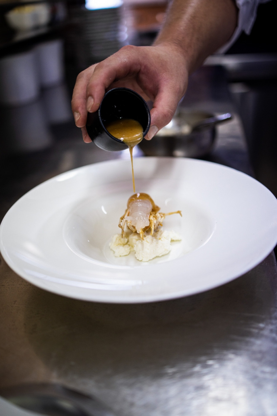Fermented Adriatic Fish &ndash; a Respectable Successor to the Salted Sardine Snacks