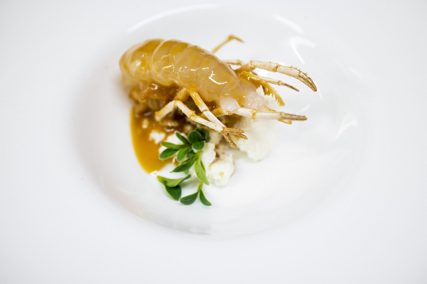 Fermented Adriatic Fish &ndash; a Respectable Successor to the Salted Sardine Snacks