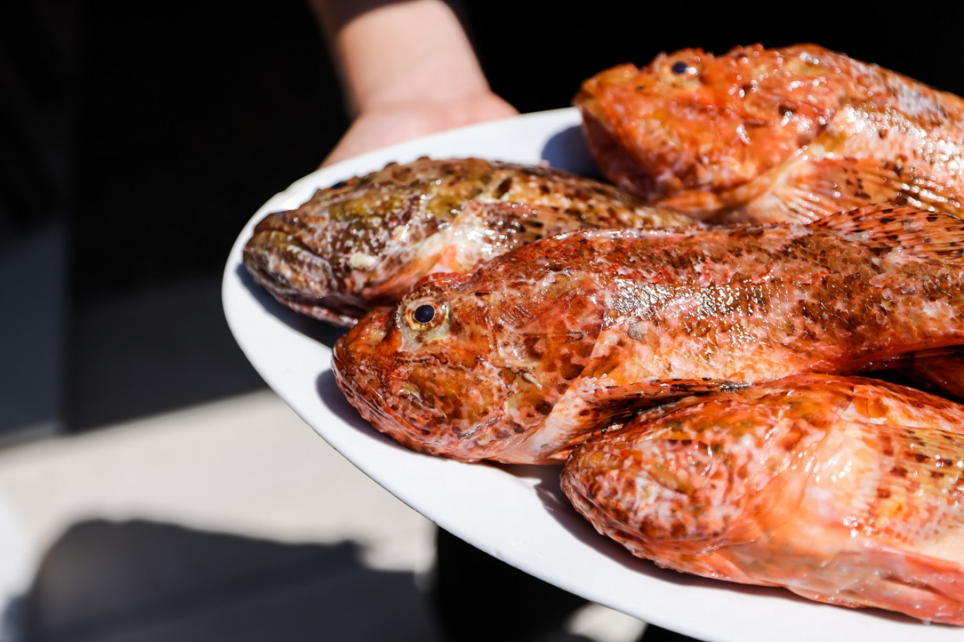 Oborita jadranska riba s gradela &ndash; tipična dalmatinska gastronomska razglednica