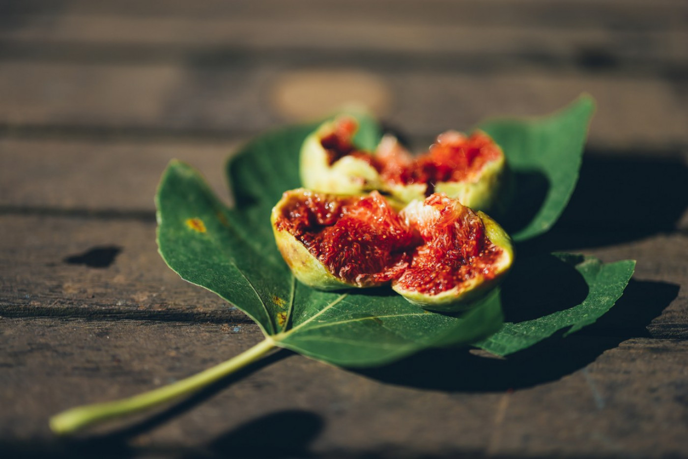Fig - Symbol of the Mediterranean in Spreads and in Combination with Tuna