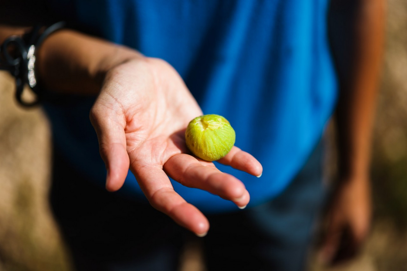 Fig - Symbol of the Mediterranean in Spreads and in Combination with Tuna