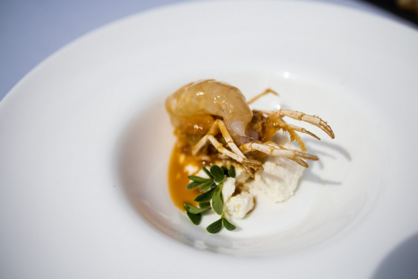 Chef of Zadar's Fo&scaron;a Participated in a Big JRE Gastro Spectacle