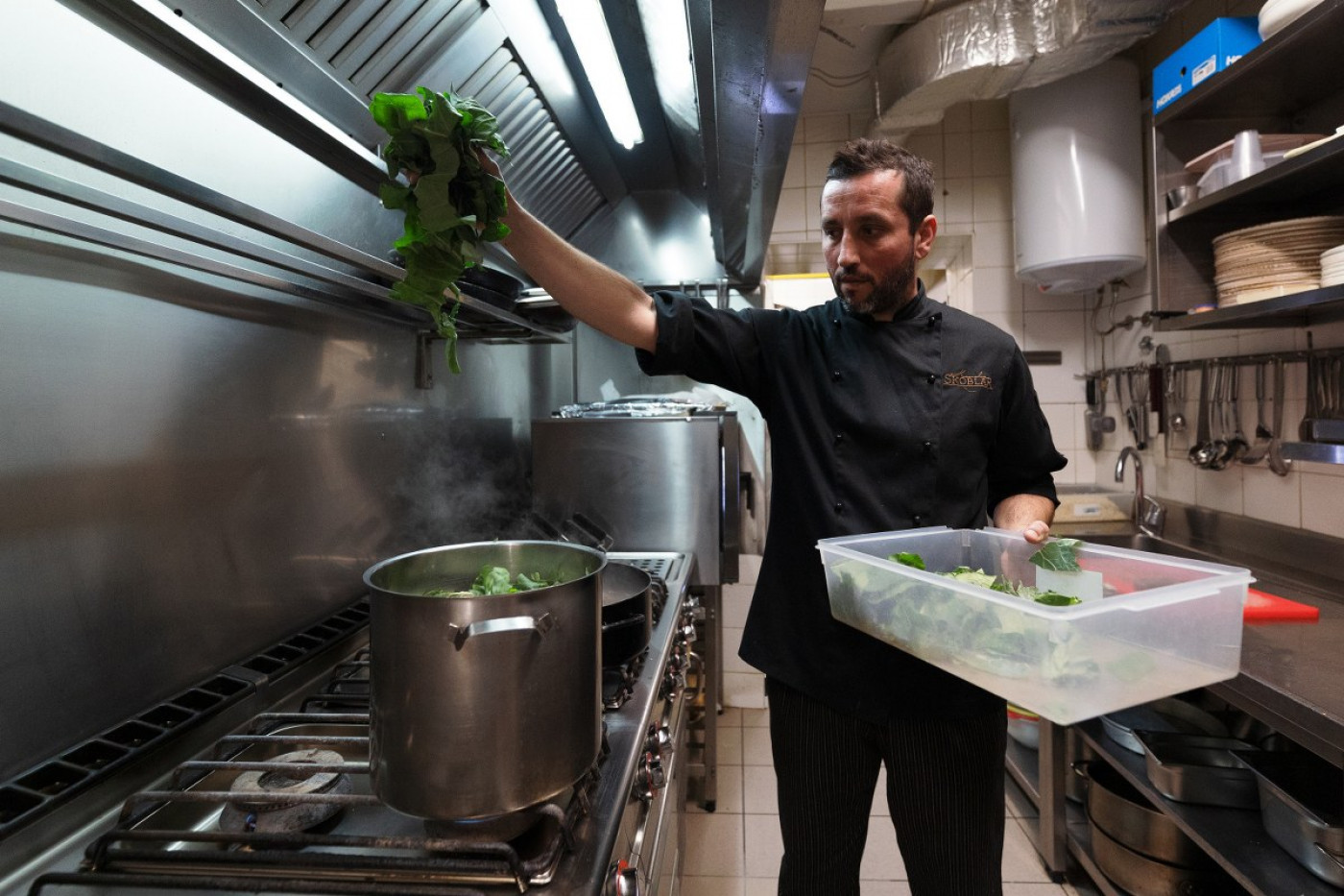 Ra&scaron;tika (Collard Greens) | the First Greens Enjoyed by Pharaohs and Gods
