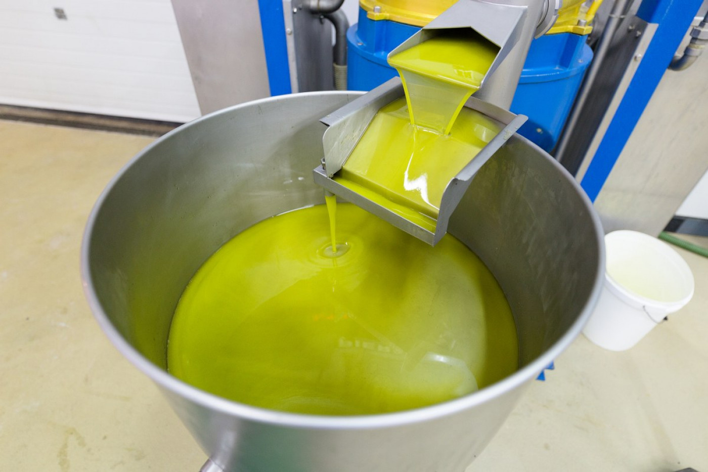 Golden Drops: Why And How Olive Oils From Zadar Conquered New York