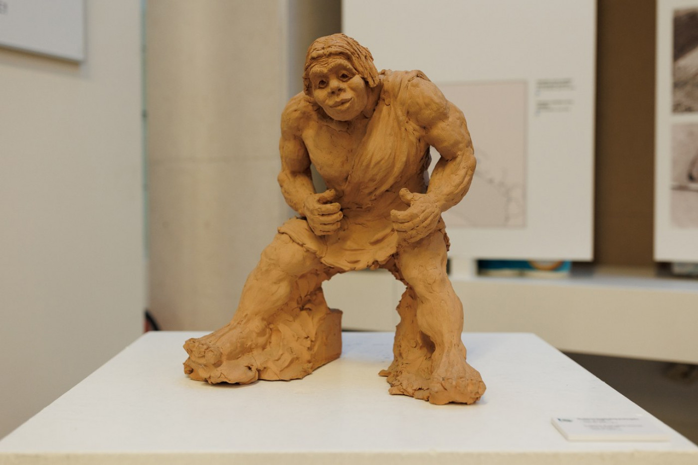 The Prehistoric Man from Krapina Exhibition in the Archaeological Museum Zadar