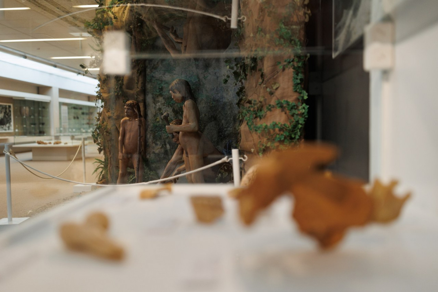 The Prehistoric Man from Krapina Exhibition in the Archaeological Museum Zadar