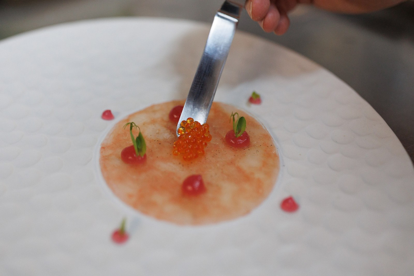 Sa&scaron;a Began, The Great Zadar Chef of Tomorrow: Great Dishes of Aged Fish