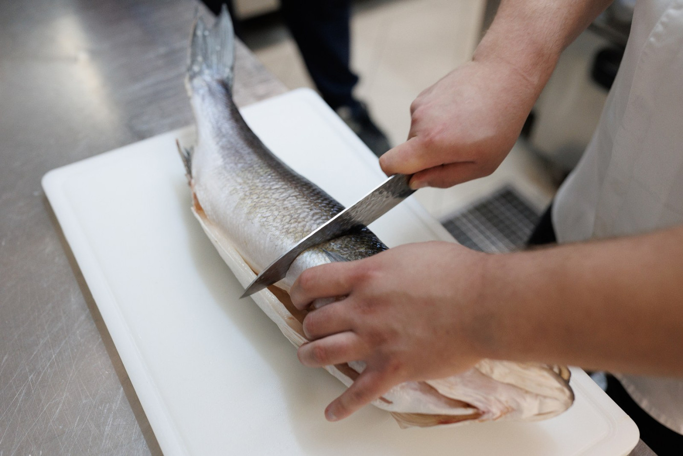 Sa&scaron;a Began, The Great Zadar Chef of Tomorrow: Great Dishes of Aged Fish