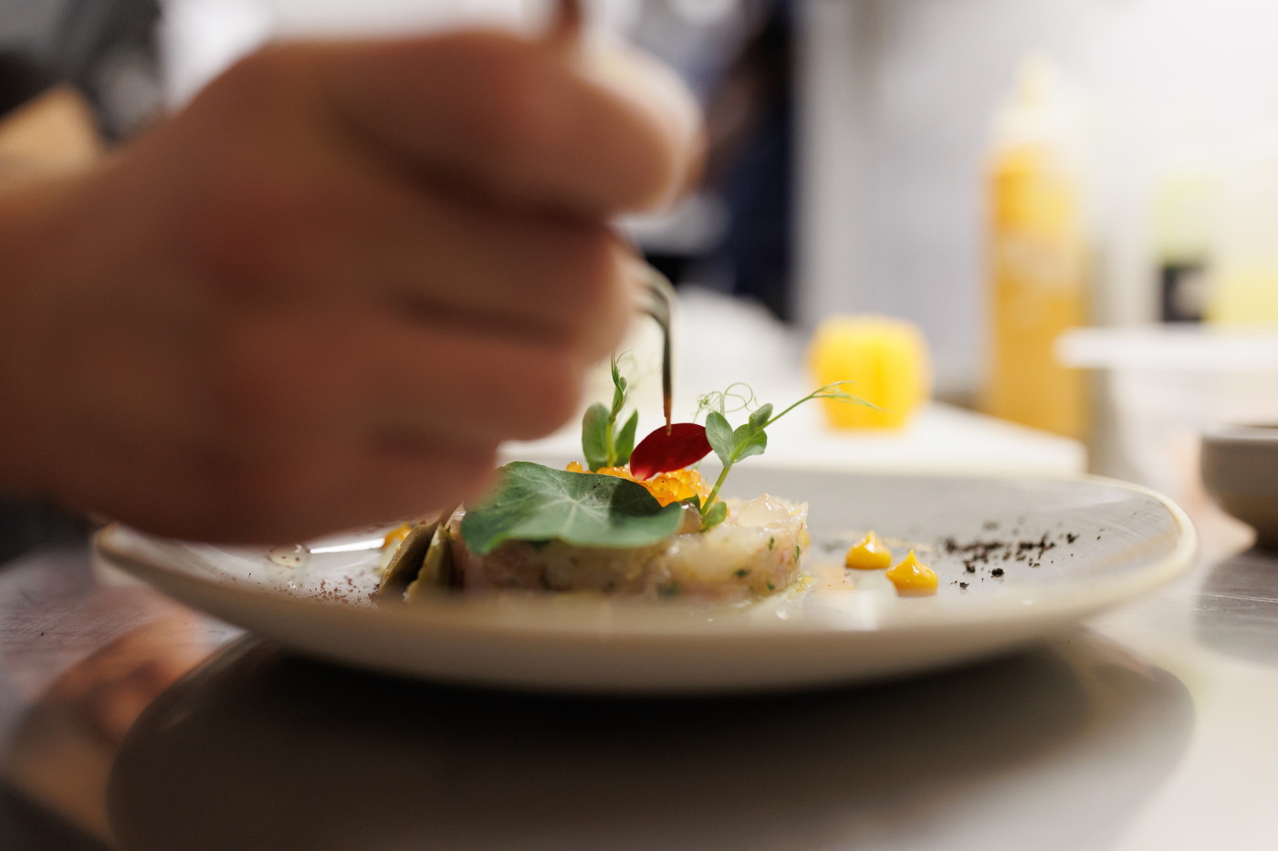 Karma Restaurant | A New & Brilliant Story On The Old & Concealed Zadar Walkway