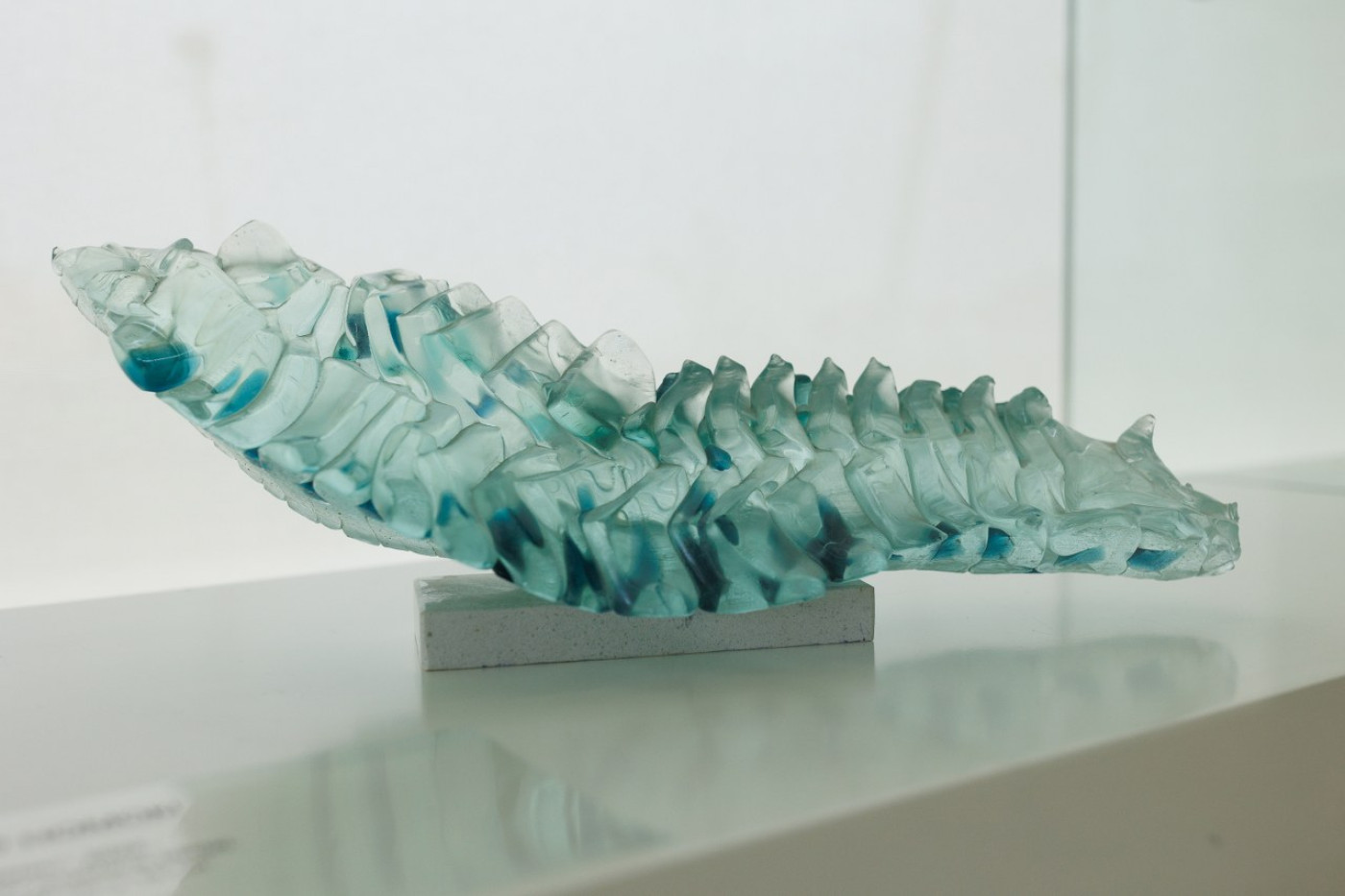 Connected by Glass &ndash; New Exhibition in the Museum of Ancient Glass
