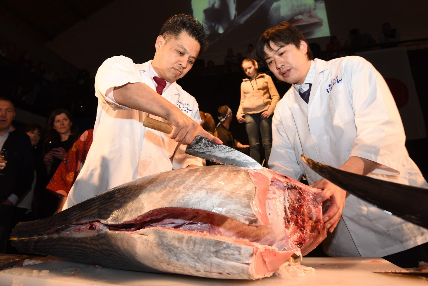 Tuna, Sushi & Wine Festival 2024