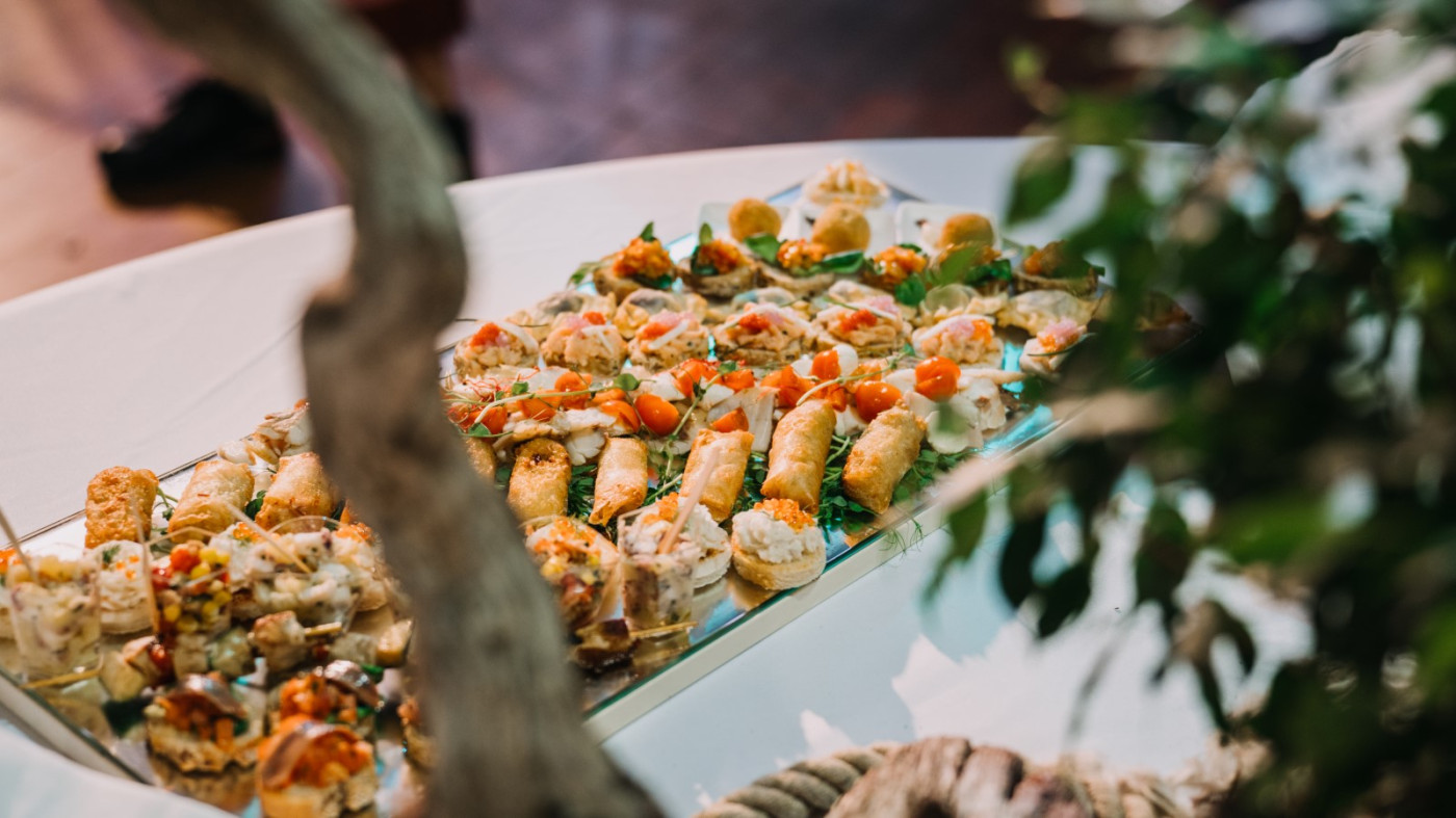 The Tuna, Sushi & Wine Festival Started in Grand Style