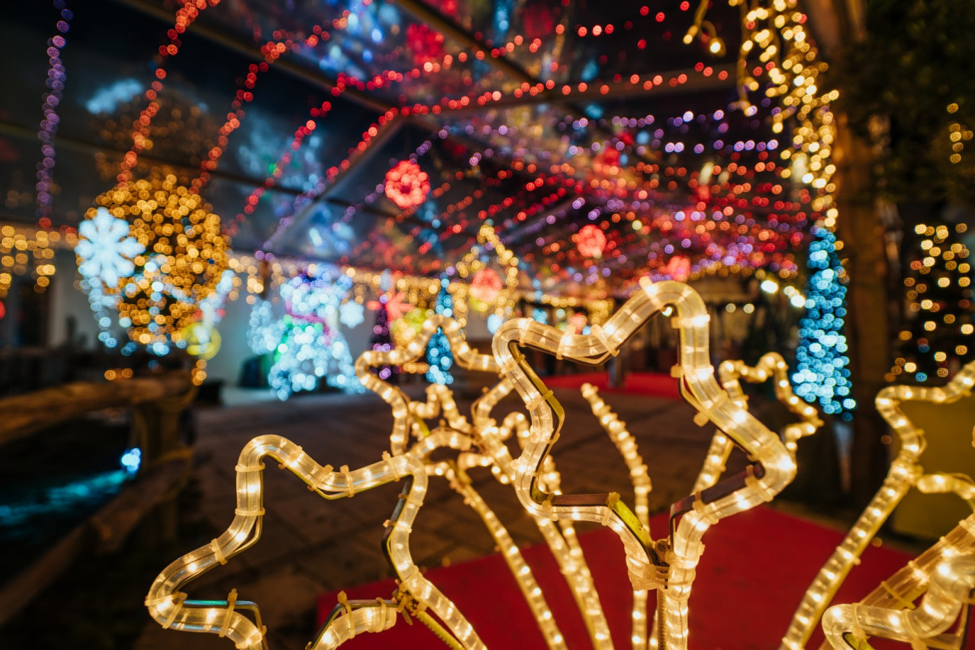 Winter Fairytale in the Atrium of the Cedulin Palace