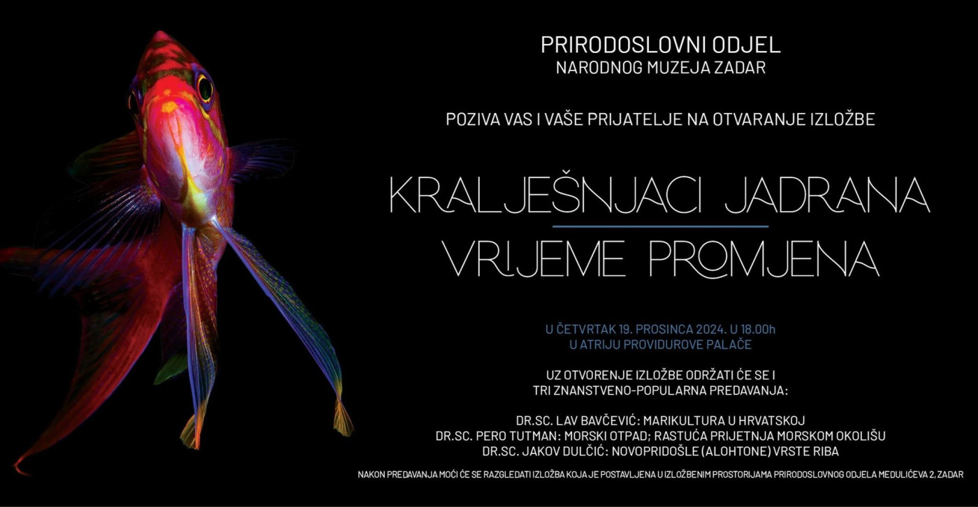 Izložba | Kralje&scaron;njaci Jadrana - vrijeme promjena