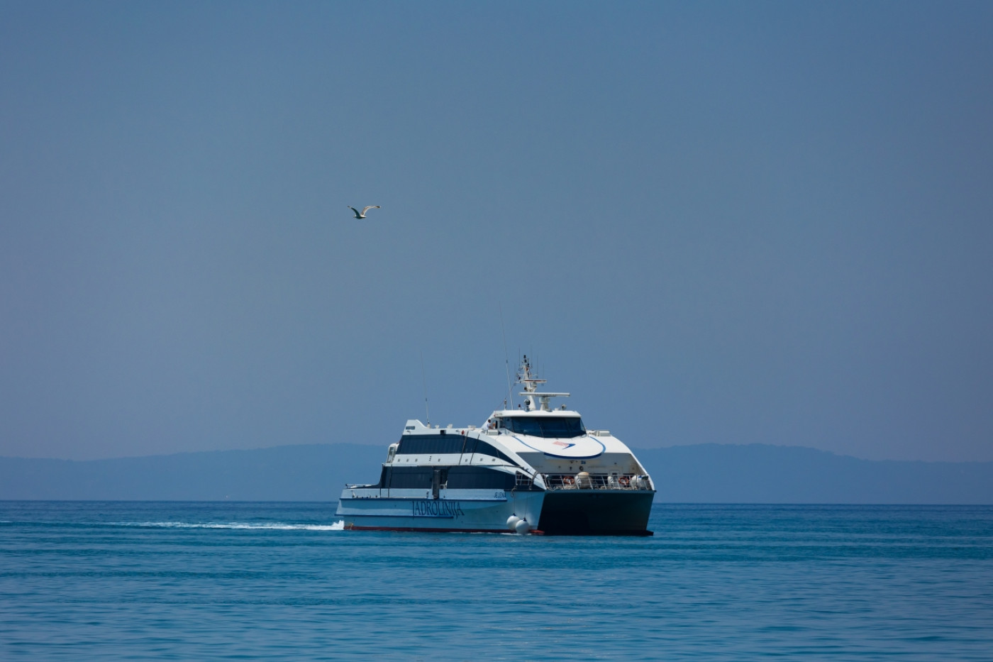 New Seasonal Catamaran Line Between Zadar and Ancona in 2026