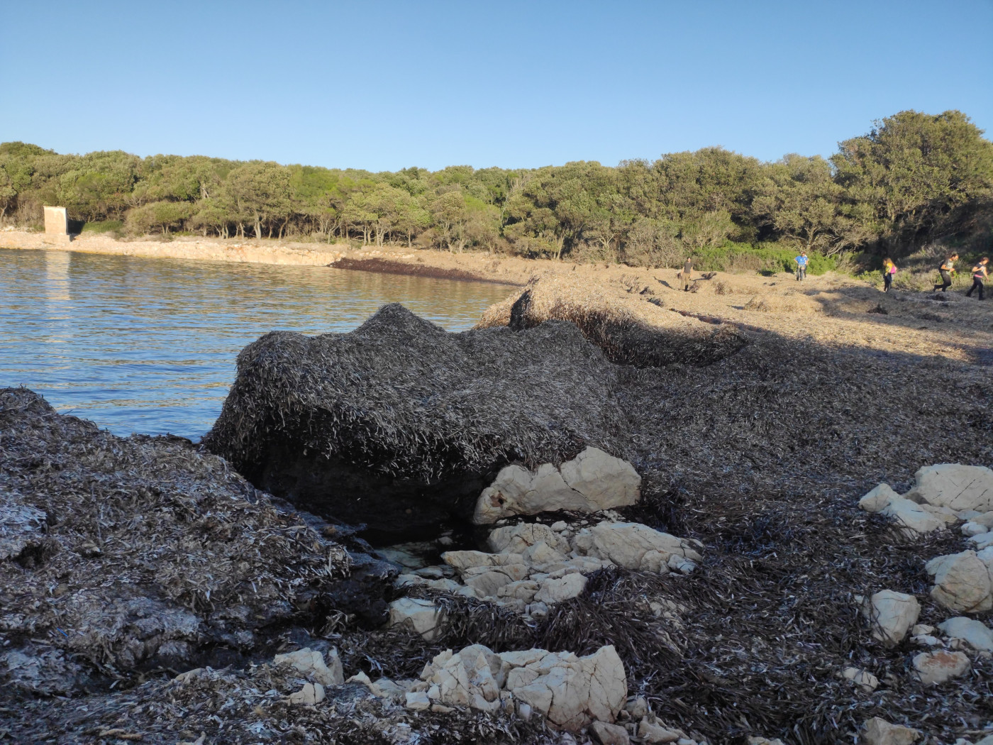 "Lažina &ndash; Guardian of the Beach" Lecture