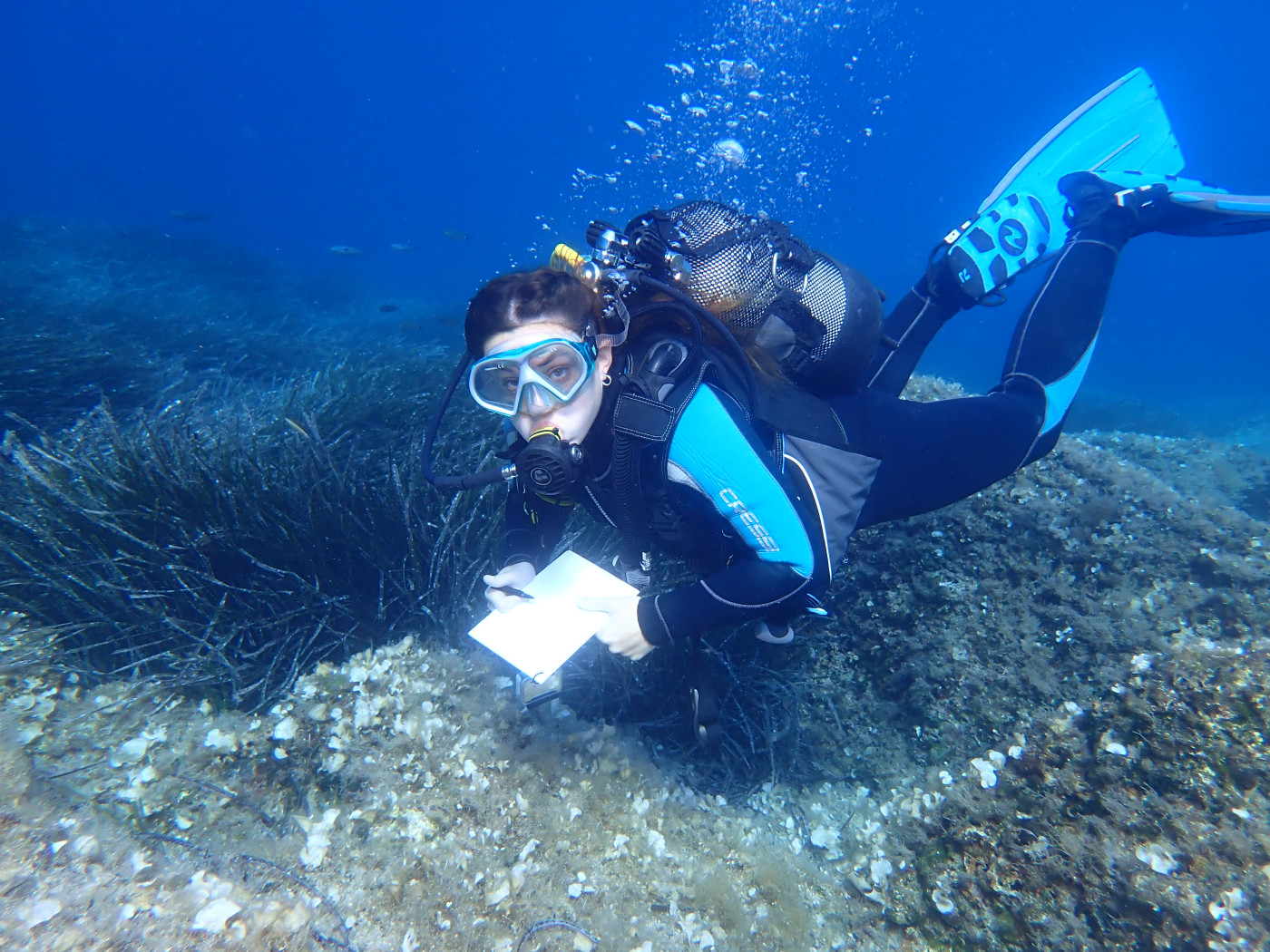 Opening of the "Silba Blu" Underwater Educational Trail