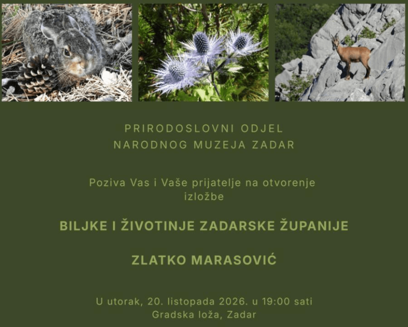 Exhibition | Plants and Animals of Zadar County – Zlatko Marasović