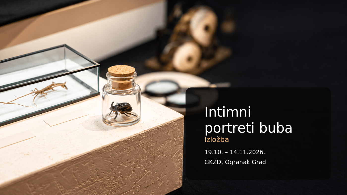 Izložba | Intimni portreti buba