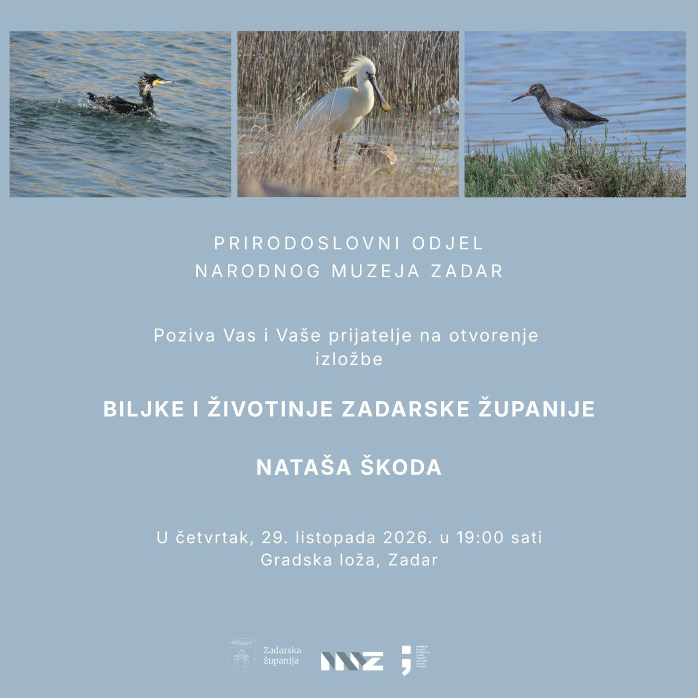 Exhibition | Plants and Animals of Zadar County – Nataša Škoda